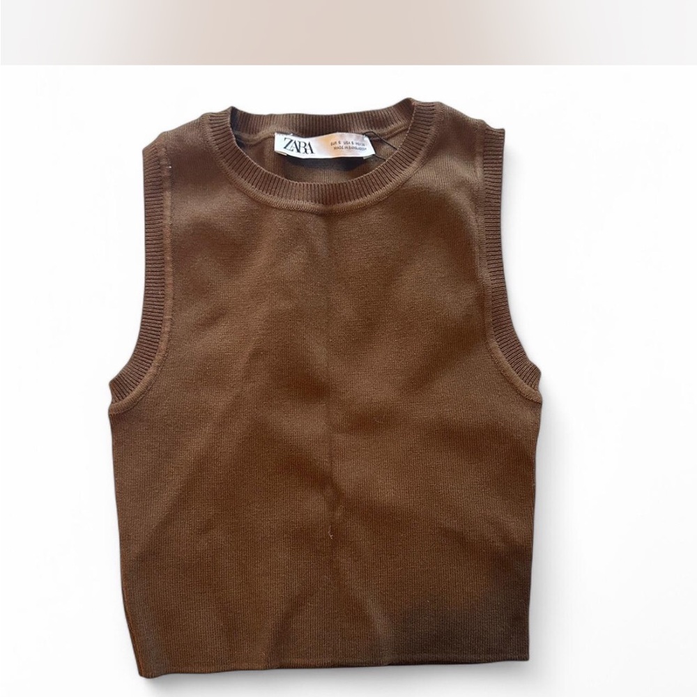 Zara brown crop top